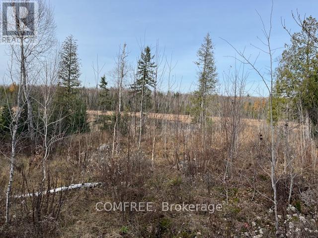 1694 Siberia Road, Madawaska Valley, Ontario  K0J 1B0 - Photo 19 - X12074531
