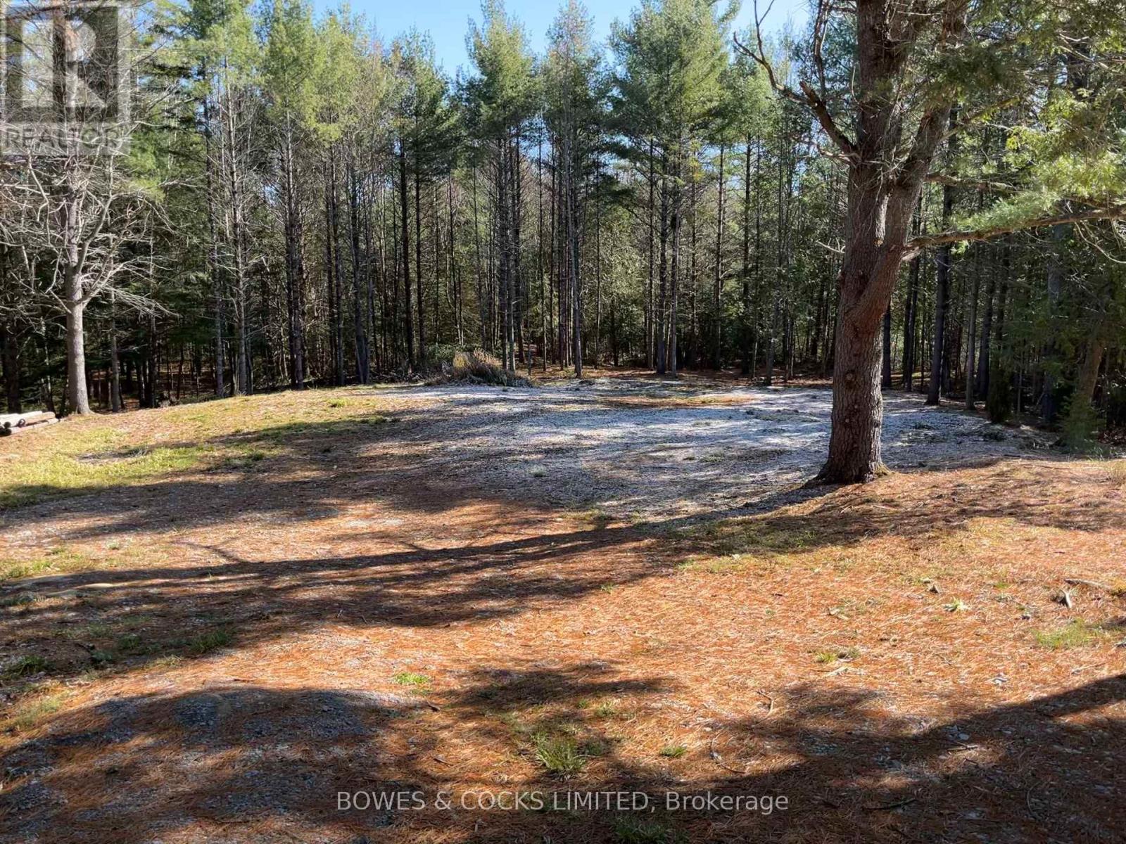 942 Balmer Road, North Kawartha, Ontario  K0L 1A0 - Photo 5 - X12074623