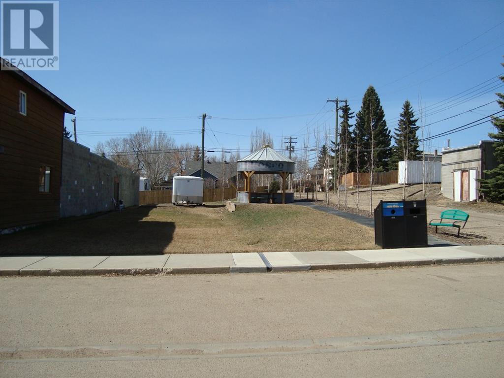 207,209 Main Street, Trochu, Alberta  T0M 2C0 - Photo 18 - A1094293