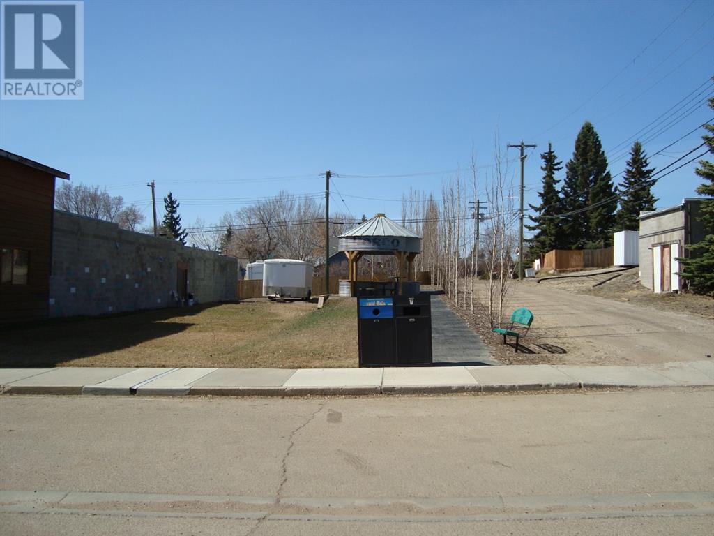 207,209 Main Street, Trochu, Alberta  T0M 2C0 - Photo 19 - A1094293