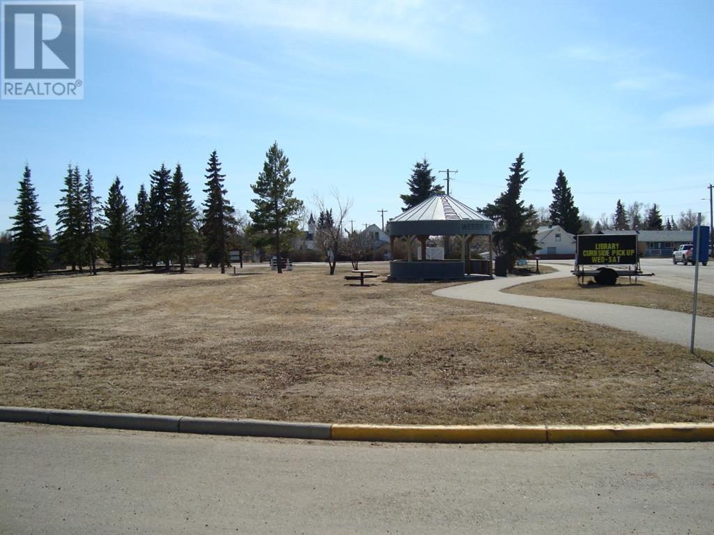 207,209 Main Street, Trochu, Alberta  T0M 2C0 - Photo 14 - A1094293