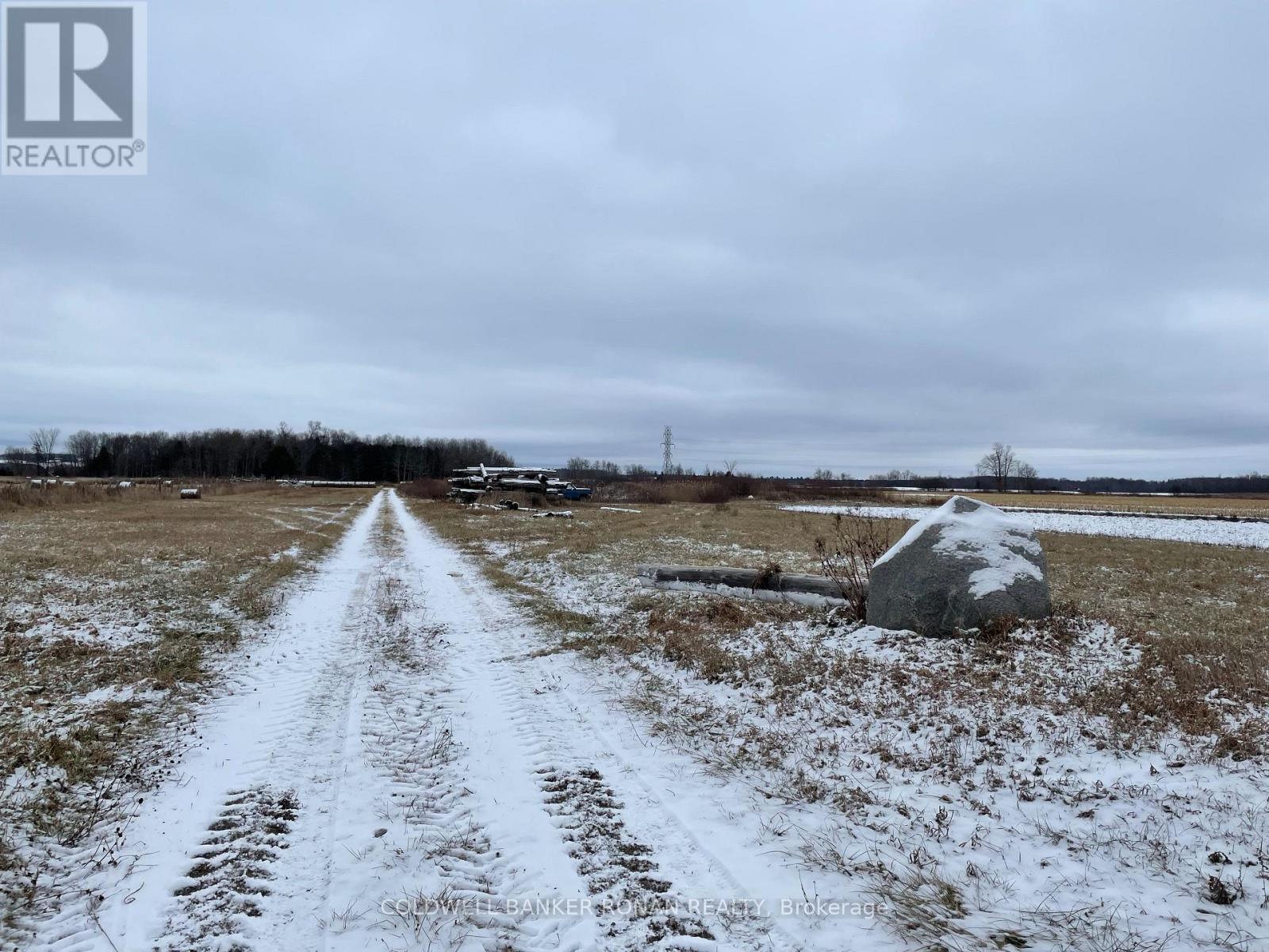 5525 Concession Rd 4, Adjala-Tosorontio, Ontario  L0M 1J0 - Photo 8 - N12072260