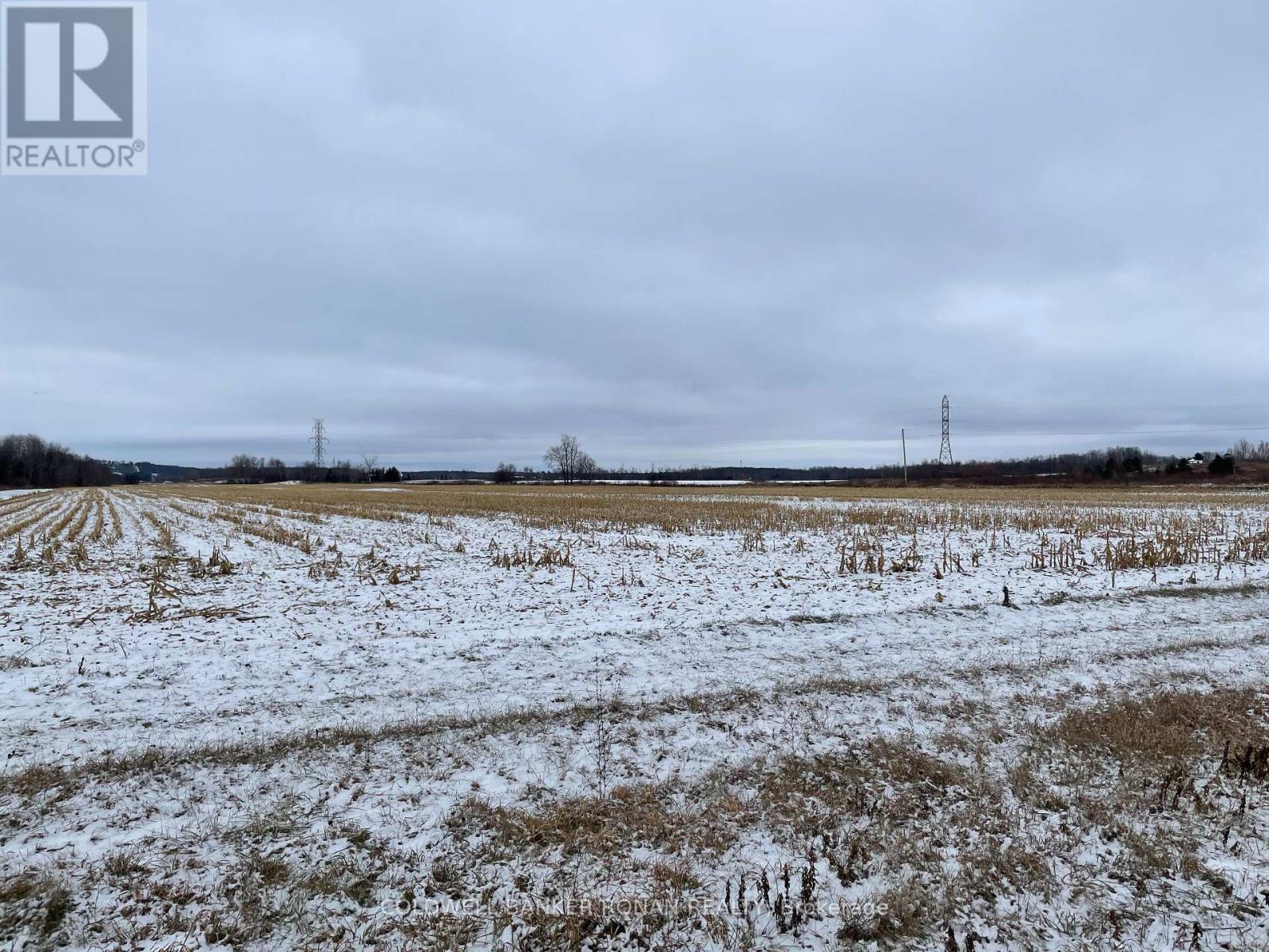 5525 Concession Rd 4, Adjala-Tosorontio, Ontario  L0M 1J0 - Photo 9 - N12072260