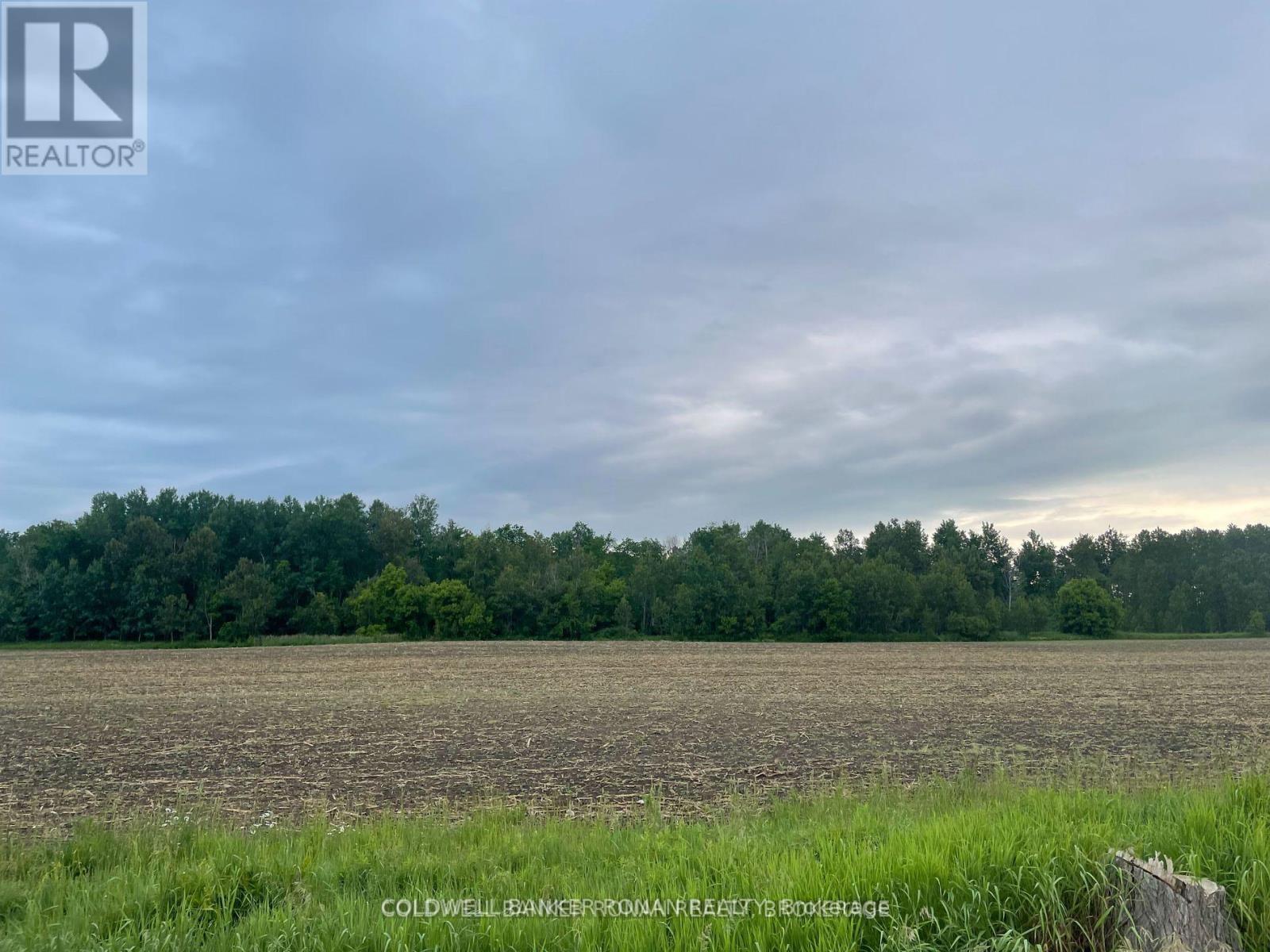5525 Concession Rd 4, Adjala-Tosorontio, Ontario  L0M 1J0 - Photo 6 - N12072265