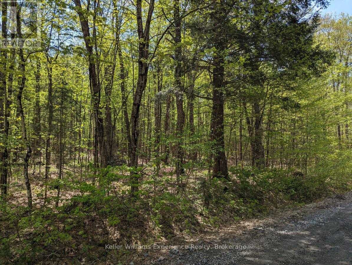 0 Healey Lake Road, Bracebridge (Macaulay), Ontario  P1L 1X3 - Photo 4 - X12074830