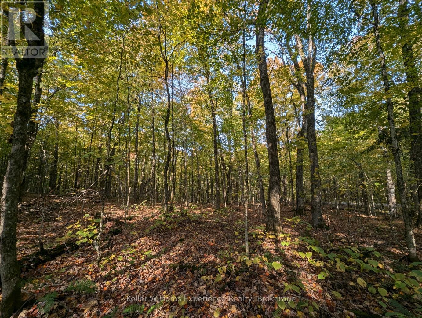 0 Healey Lake Road, Bracebridge (Macaulay), Ontario  P1L 1X3 - Photo 5 - X12074830