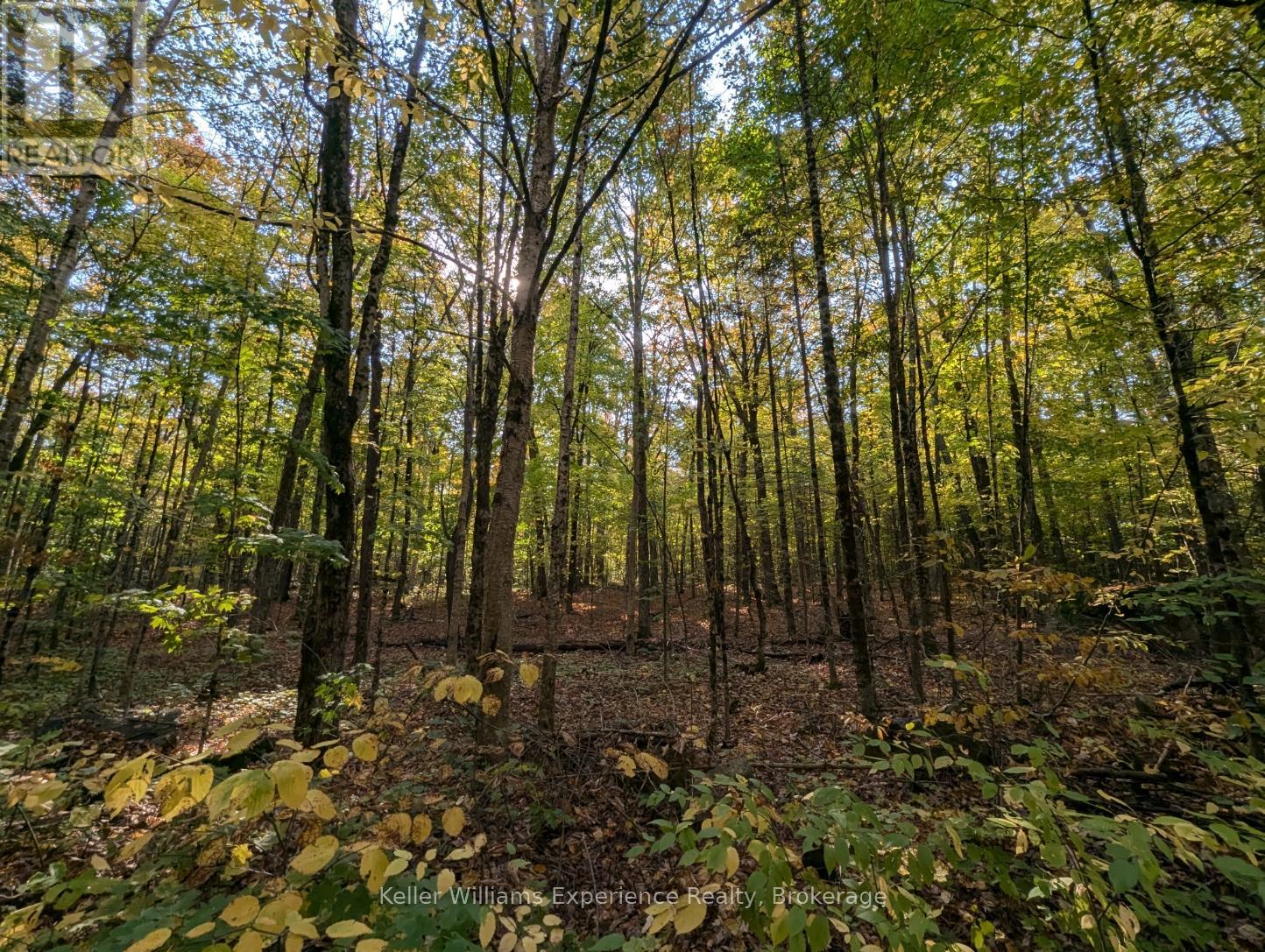 0 Healey Lake Road, Bracebridge (Macaulay), Ontario  P1L 1X3 - Photo 6 - X12074830