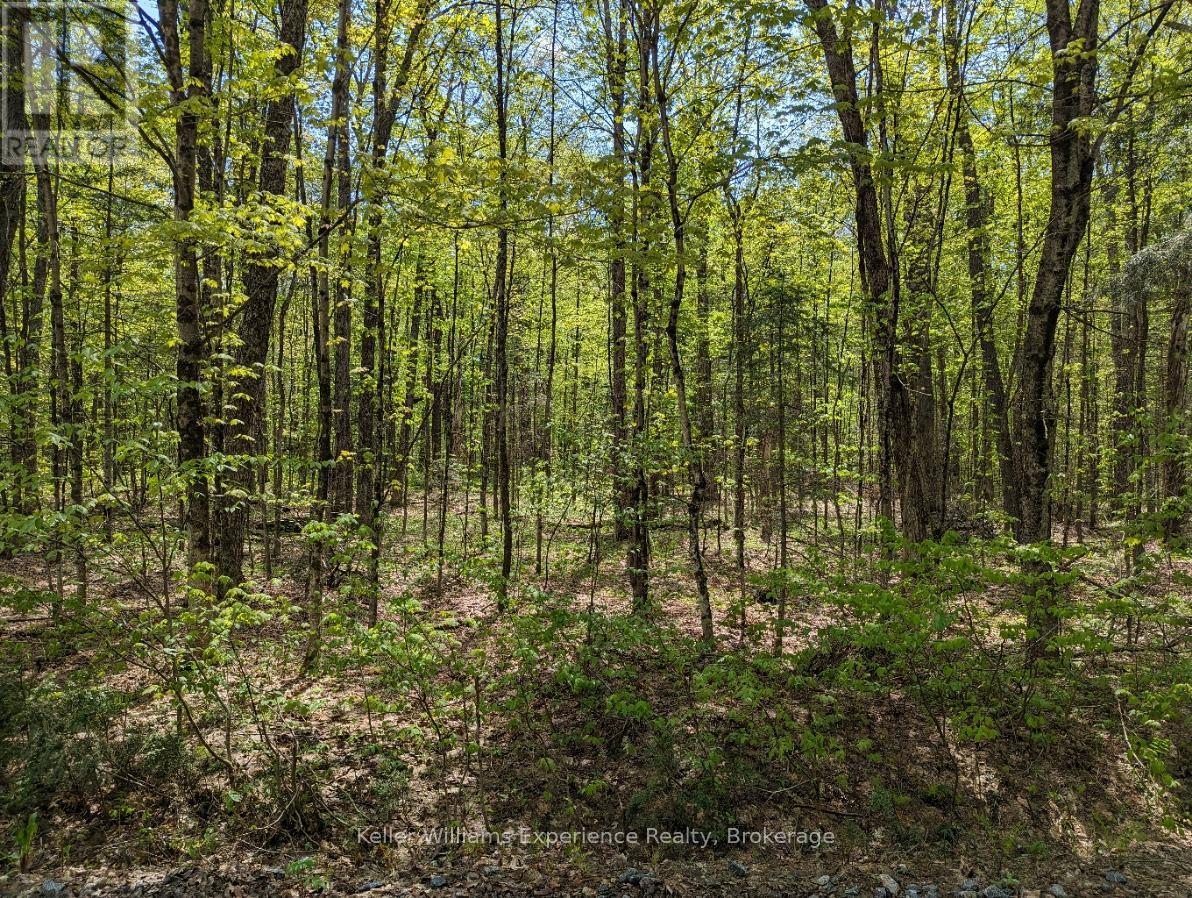 0 Healey Lake Road, Bracebridge (Macaulay), Ontario  P1L 1X3 - Photo 8 - X12074830