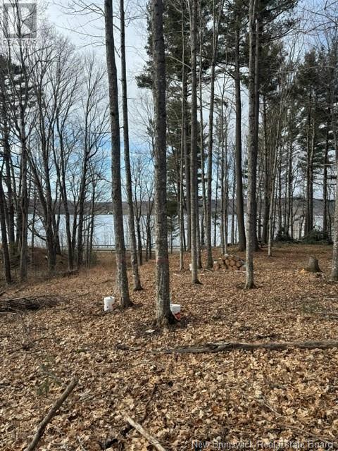 Lot 11-6 Route 105, Bear Island, New Brunswick  E6L 1H2 - Photo 14 - NB116068