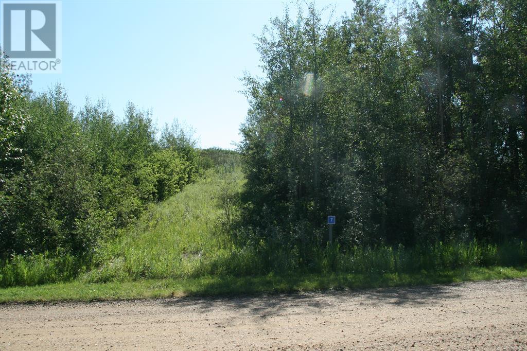7 Buffalo Drive, Rural Stettler No. 6, Alberta  T0C 1G0 - Photo 3 - A2210323