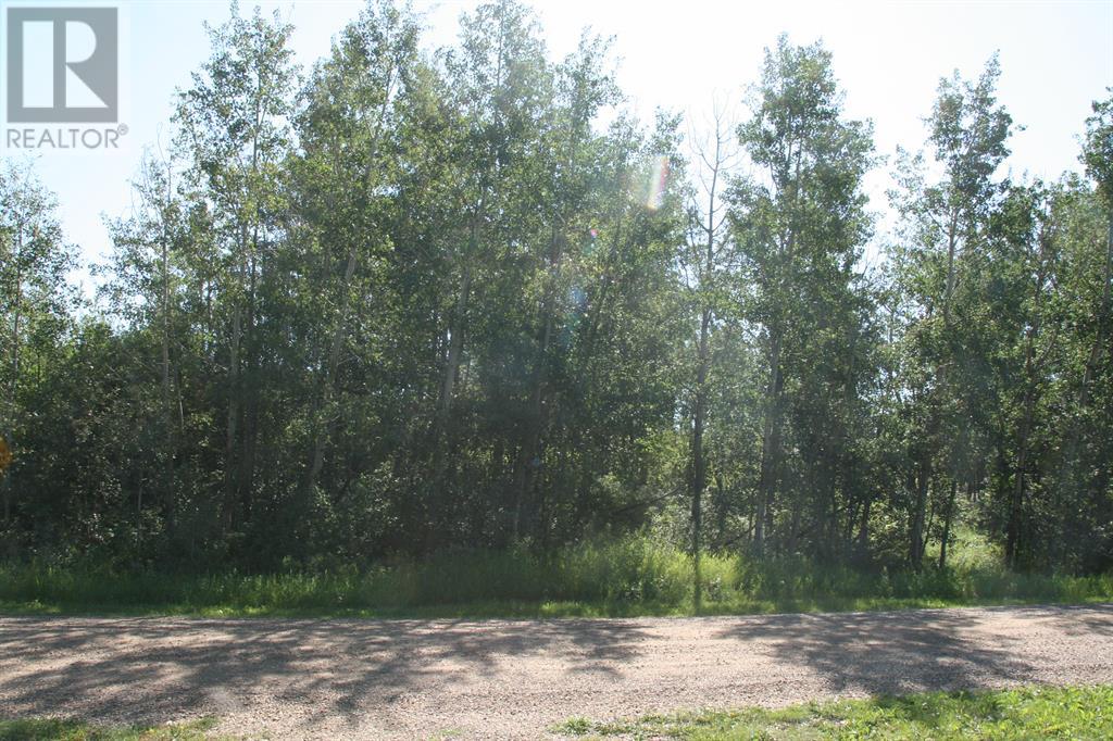 7 Buffalo Drive, Rural Stettler No. 6, Alberta  T0C 1G0 - Photo 4 - A2210323