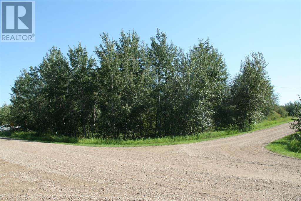 7 Buffalo Drive, Rural Stettler No. 6, Alberta  T0C 1G0 - Photo 1 - A2210323