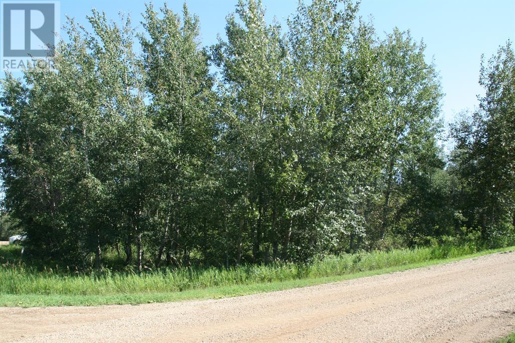 7 Buffalo Drive, Rural Stettler No. 6, Alberta  T0C 1G0 - Photo 5 - A2210323