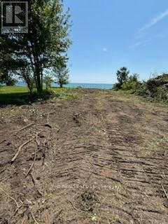 888 Hiawatha Beach, Chatham-Kent, Ontario  N0P 2P0 - Photo 10 - X12075273