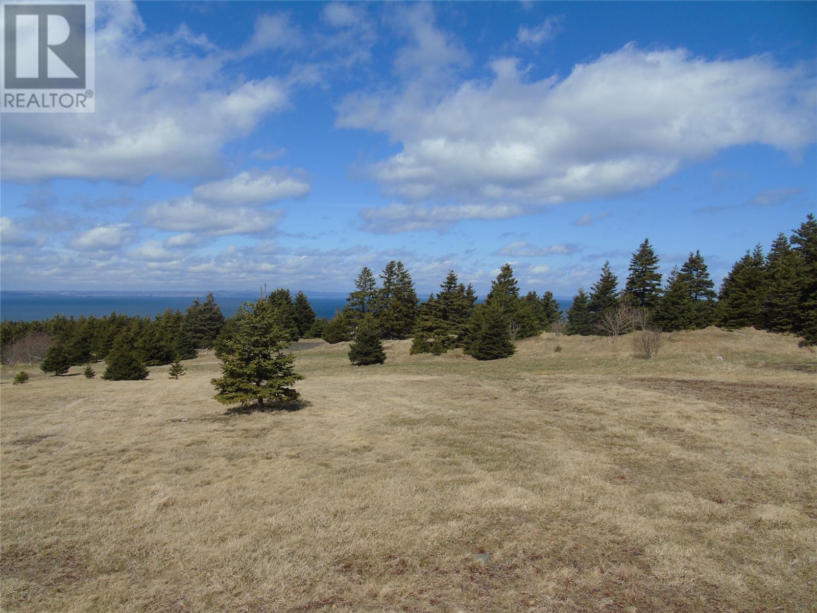 0 Back Road, Bell Island, Newfoundland & Labrador  A0A 4H0 - Photo 3 - 1283540