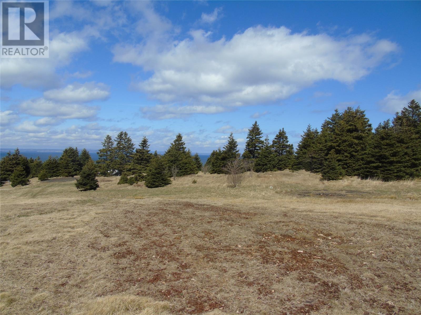 0 Back Road, Bell Island, Newfoundland & Labrador  A0A 4H0 - Photo 6 - 1283540