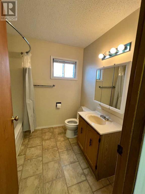 5009 Wilson Street, Blackfalds, Alberta  T0M 0J0 - Photo 5 - A2202635