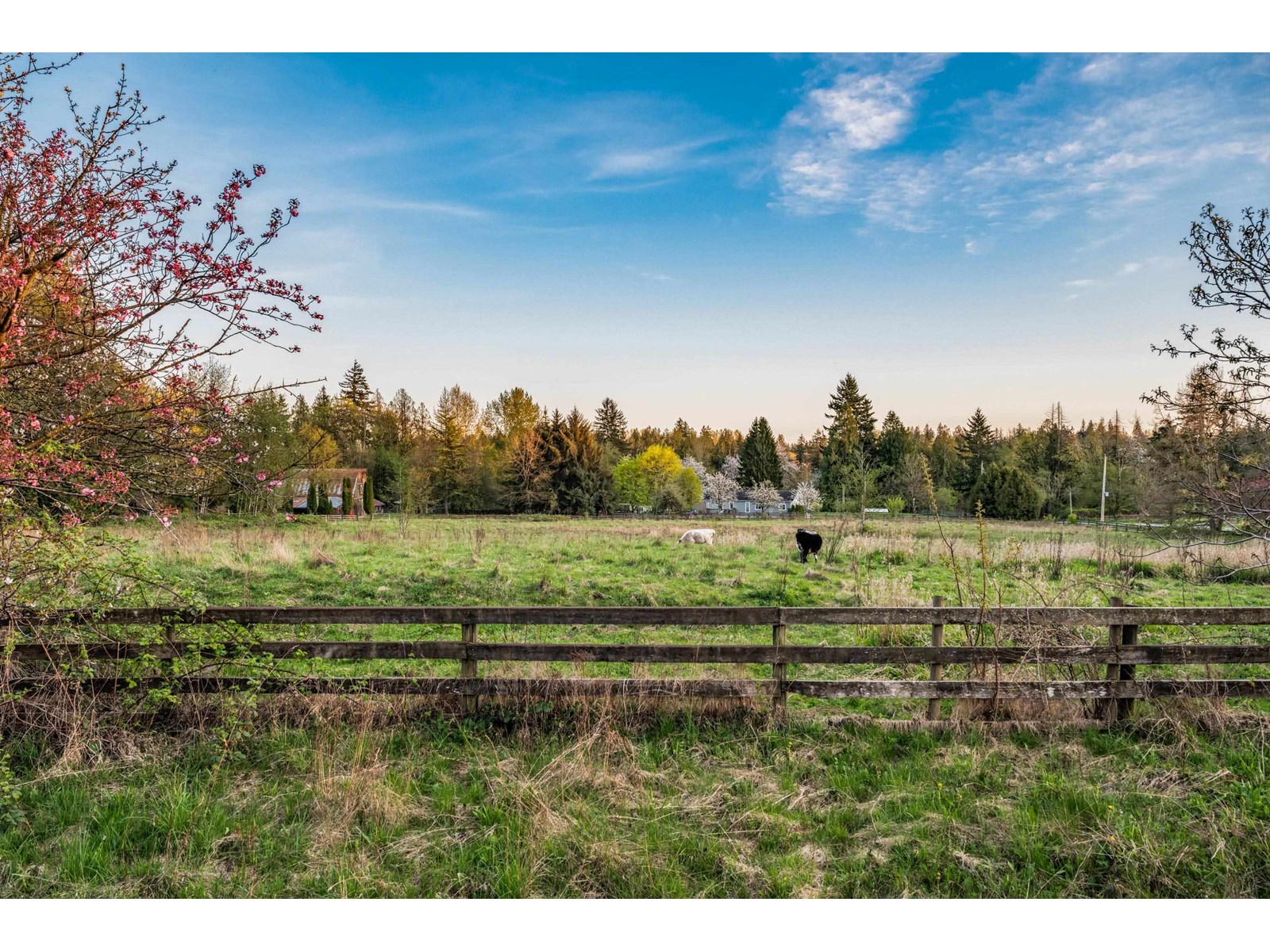22482 8 Avenue, Langley, British Columbia  V2Z 2W4 - Photo 28 - R2988243