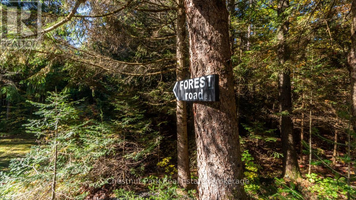 1374 Purbrook Road, Bracebridge, Ontario  P1L 1X3 - Photo 23 - X12058373