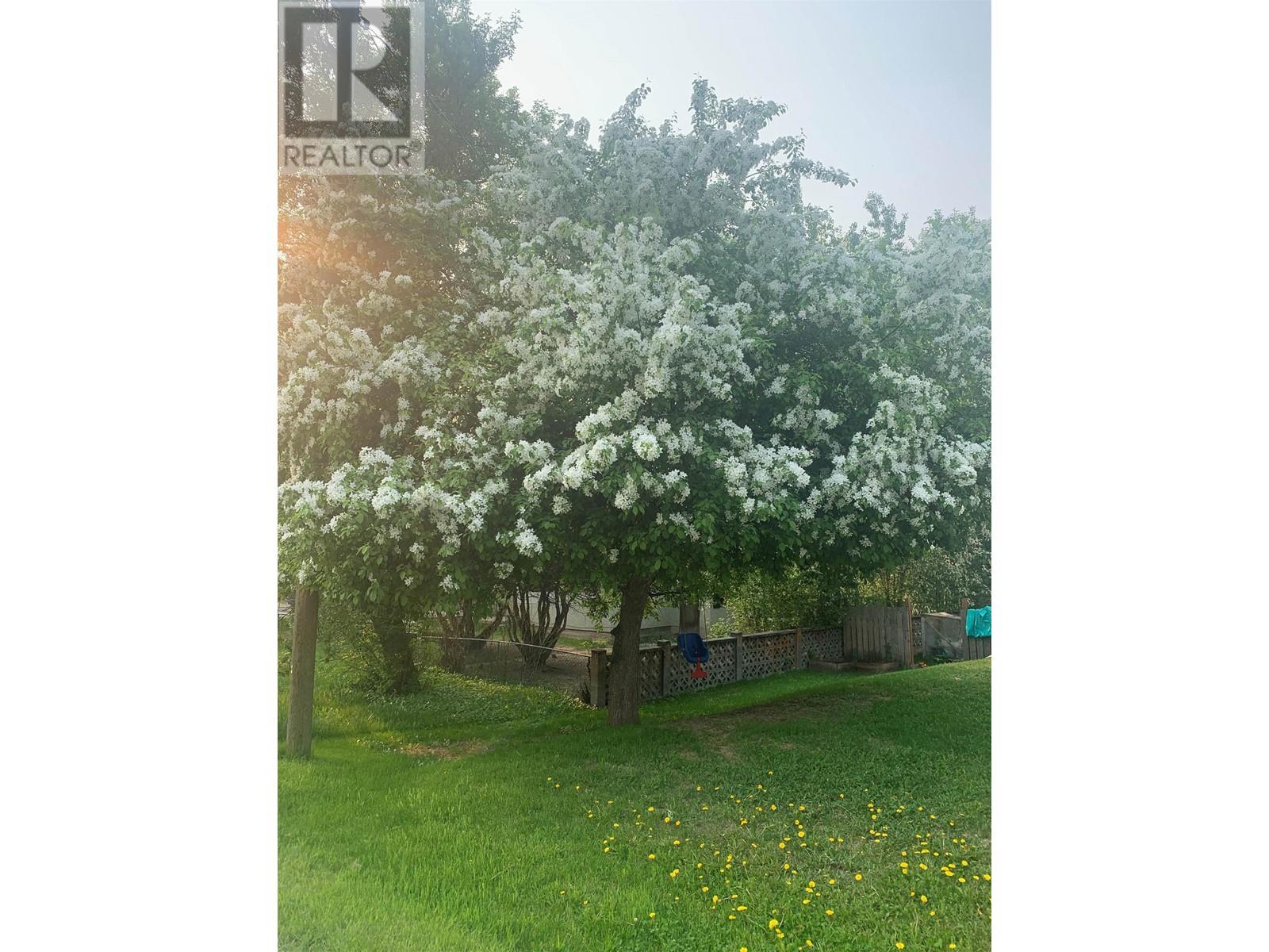 377 W 6th Street, Vanderhoof, British Columbia  V0J 3A0 - Photo 26 - R2988715