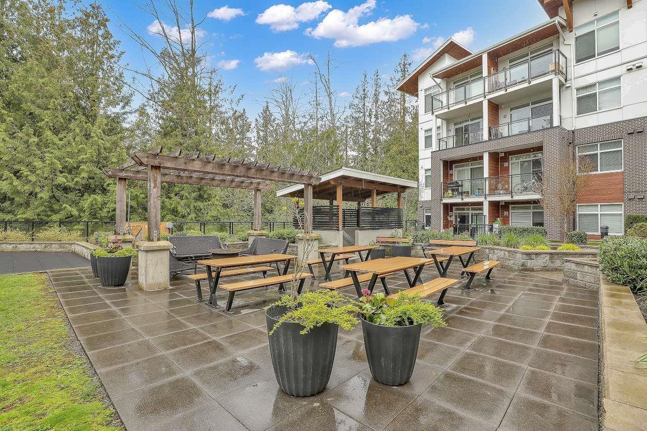 320 5415 Brydon Crescent, Langley, British Columbia  V3A 0N4 - Photo 31 - R2987802