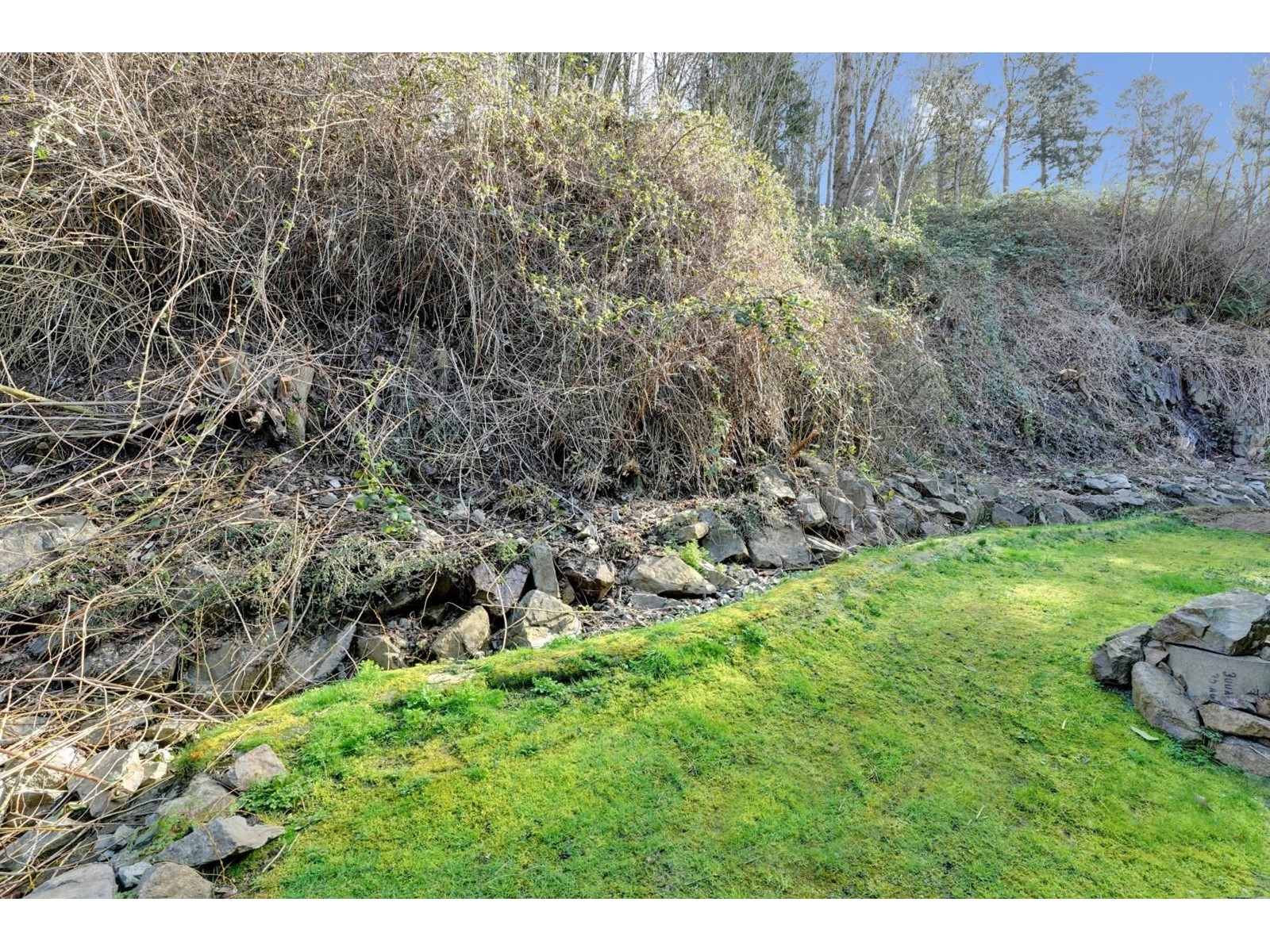 53 35287 Old Yale Road, Abbotsford, British Columbia  V3G 8H5 - Photo 35 - R2989048