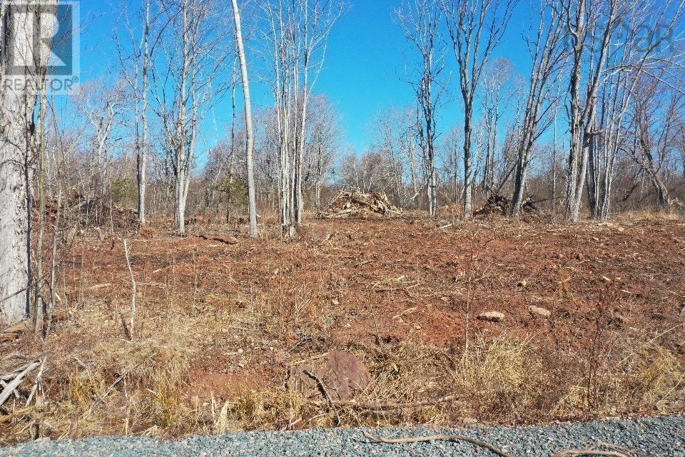Lot 23-8 Hansen Drive, West Pugwash, Nova Scotia  B0K 1L0 - Photo 2 - 202507470