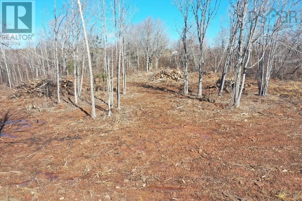 Lot 23-8 Hansen Drive, West Pugwash, Nova Scotia  B0K 1L0 - Photo 3 - 202507470