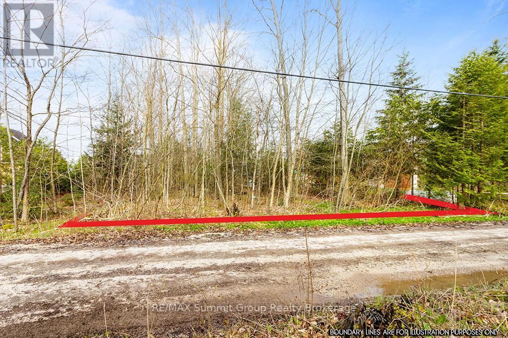 202 Lakeshore Boulevard, Grey Highlands, Ontario  N0C 1E0 - Photo 10 - X11888438