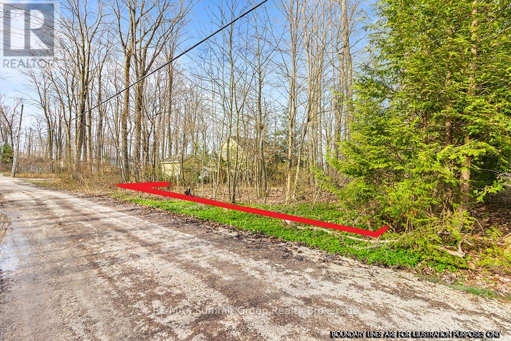 202 Lakeshore Boulevard, Grey Highlands, Ontario  N0C 1E0 - Photo 8 - X11888438