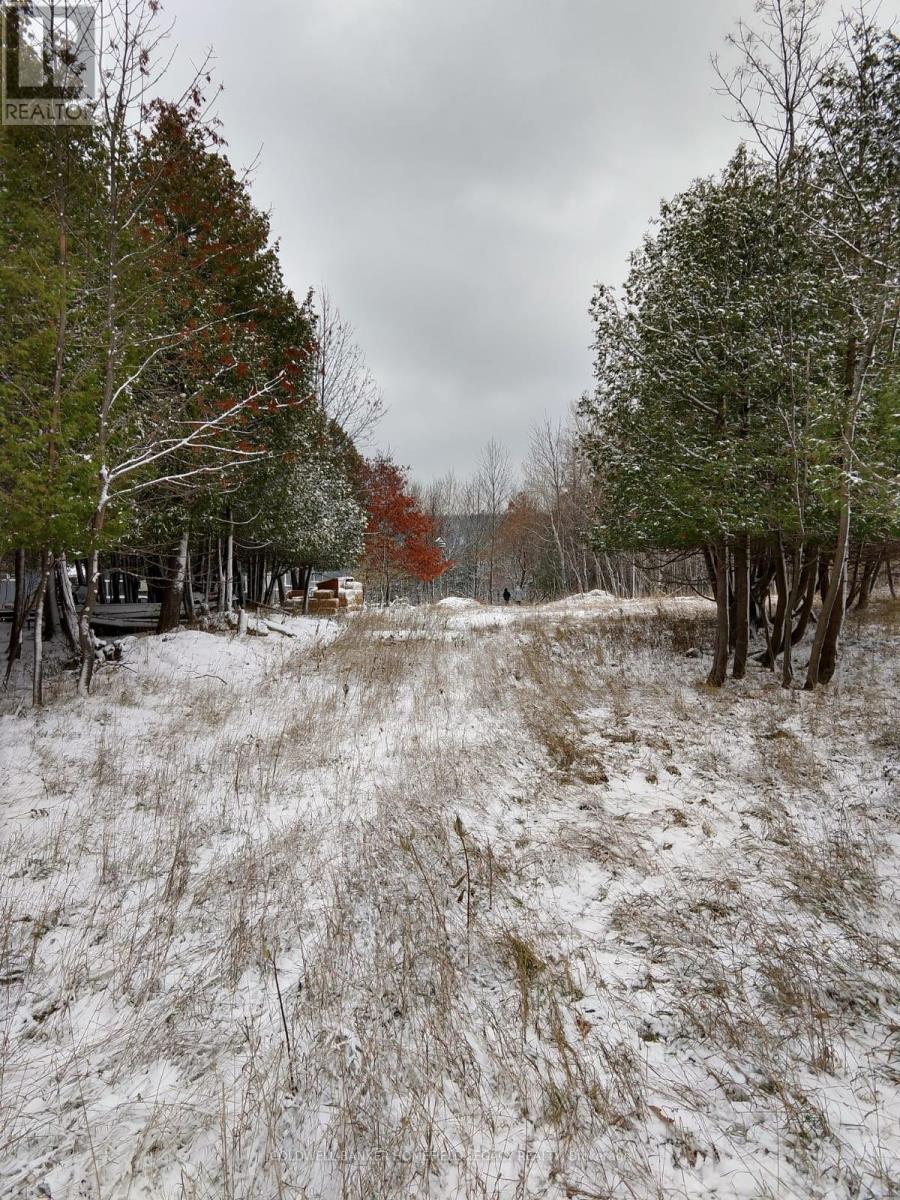 48 Fraser Street N, Gore Bay, Ontario  P0P 1H0 - Photo 3 - X12075608