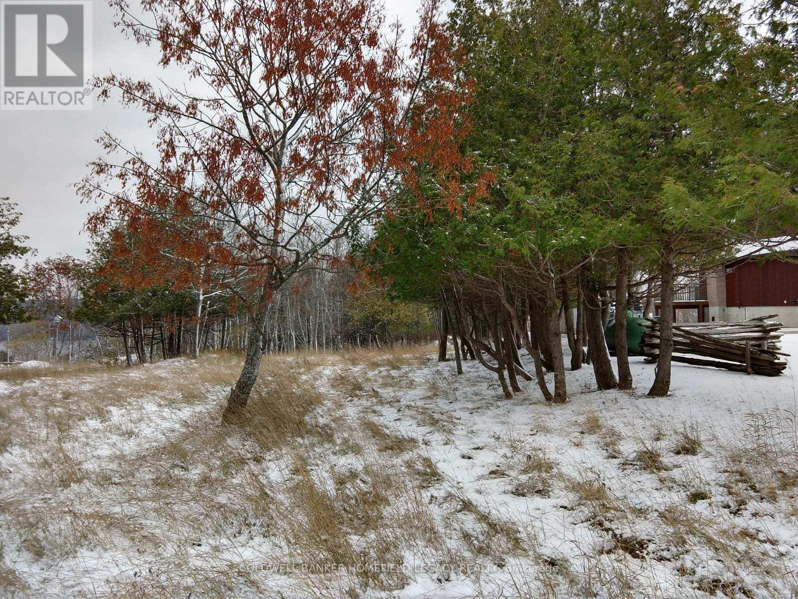 48 Fraser Street N, Gore Bay, Ontario  P0P 1H0 - Photo 5 - X12075608