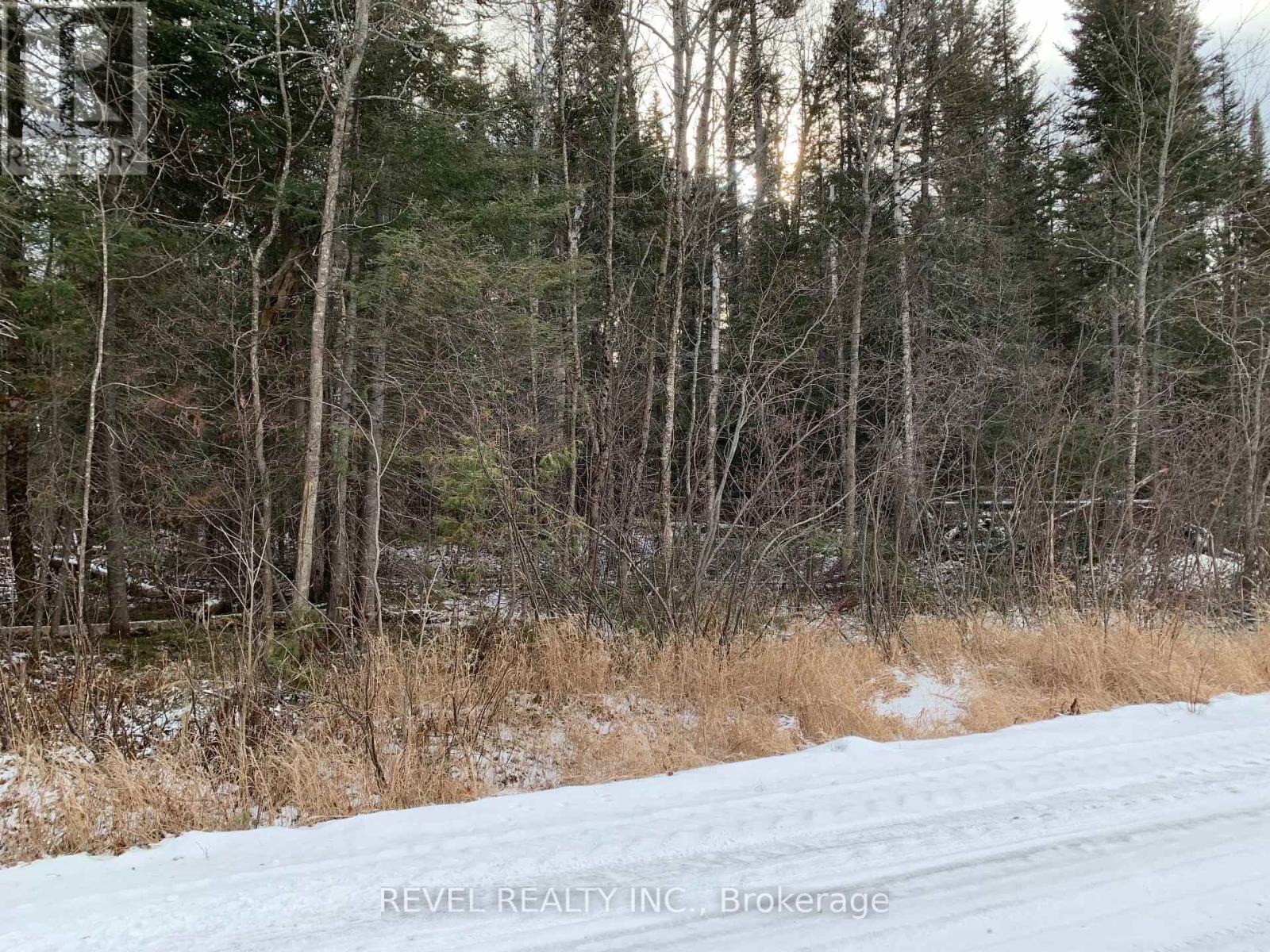 Pcl8547 Hwy 101 Highway W, Timmins, Ontario  P4N 7K2 - Photo 10 - W12075510