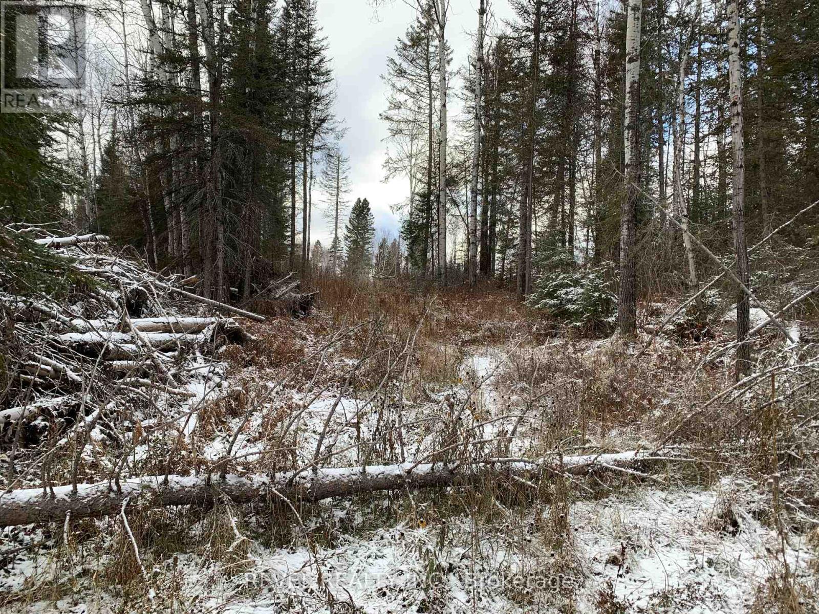 Pcl8547 Hwy 101 Highway W, Timmins, Ontario  P4N 7K2 - Photo 2 - W12075510