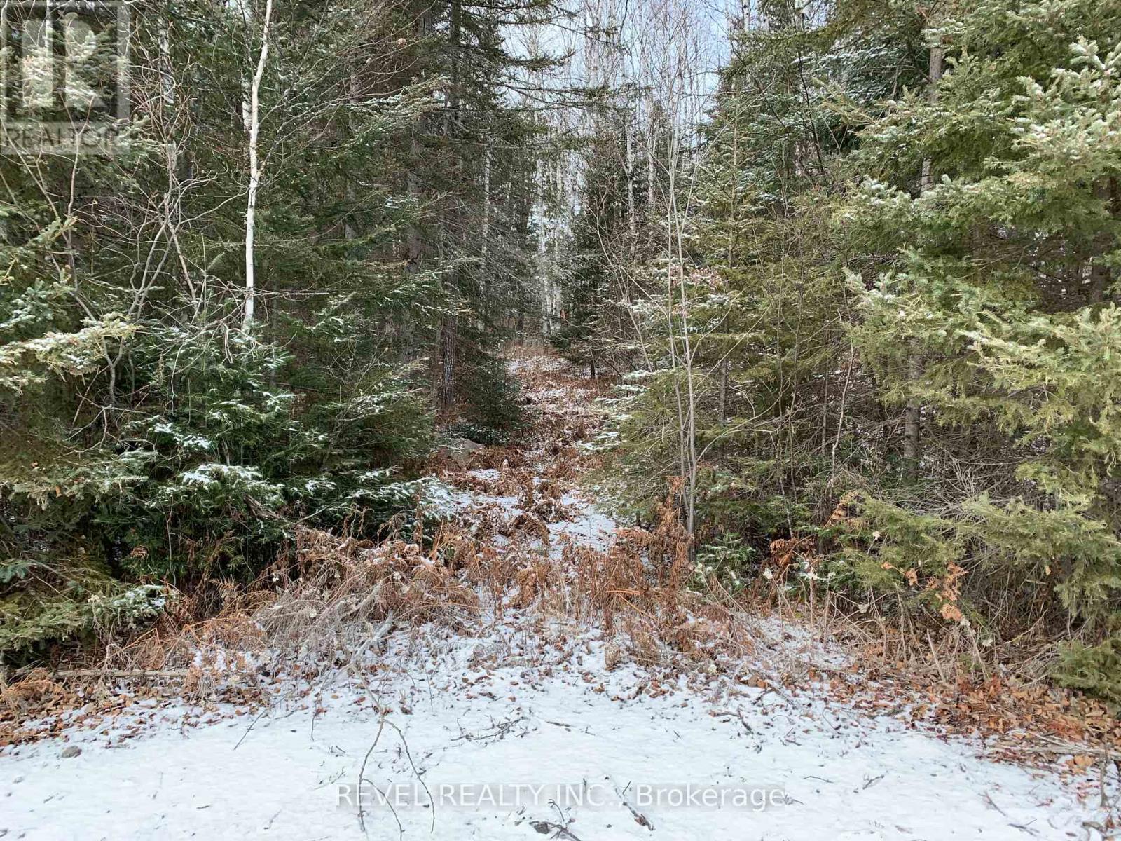 Pcl8547 Hwy 101 Highway W, Timmins, Ontario  P4N 7K2 - Photo 22 - W12075510