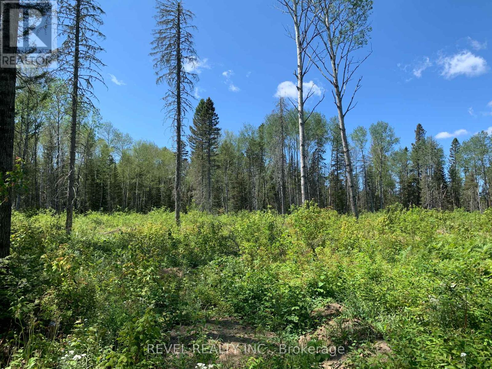 Pcl8547 Hwy 101 Highway W, Timmins, Ontario  P4N 7K2 - Photo 28 - W12075510