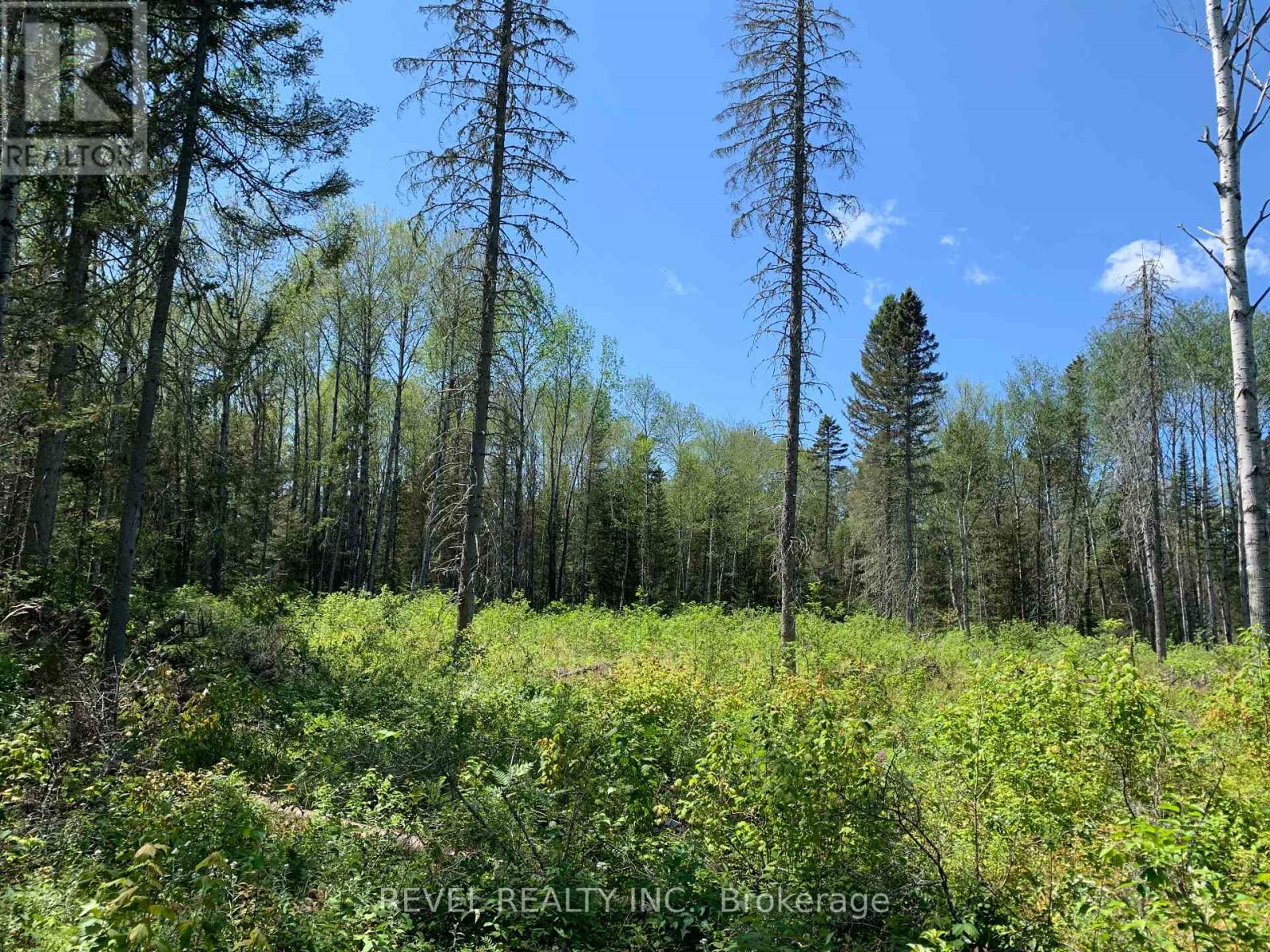 Pcl8547 Hwy 101 Highway W, Timmins, Ontario  P4N 7K2 - Photo 29 - W12075510
