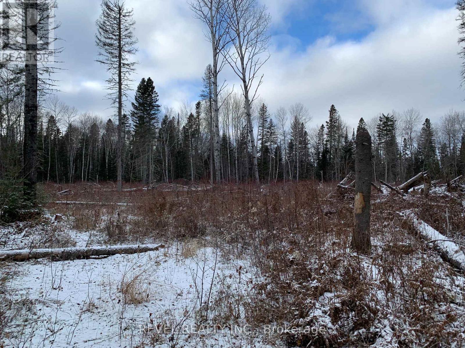 Pcl8547 Hwy 101 Highway W, Timmins, Ontario  P4N 7K2 - Photo 3 - W12075510