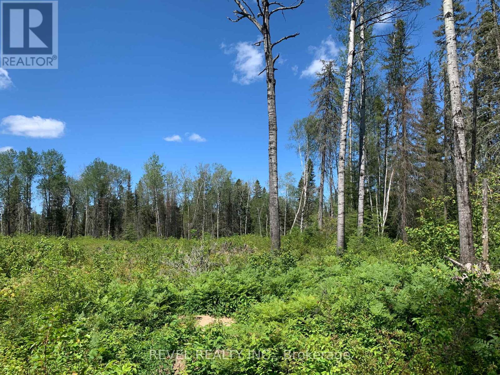 Pcl8547 Hwy 101 Highway W, Timmins, Ontario  P4N 7K2 - Photo 30 - W12075510