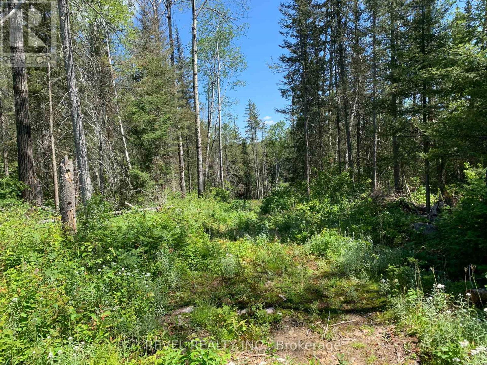 Pcl8547 Hwy 101 Highway W, Timmins, Ontario  P4N 7K2 - Photo 32 - W12075510