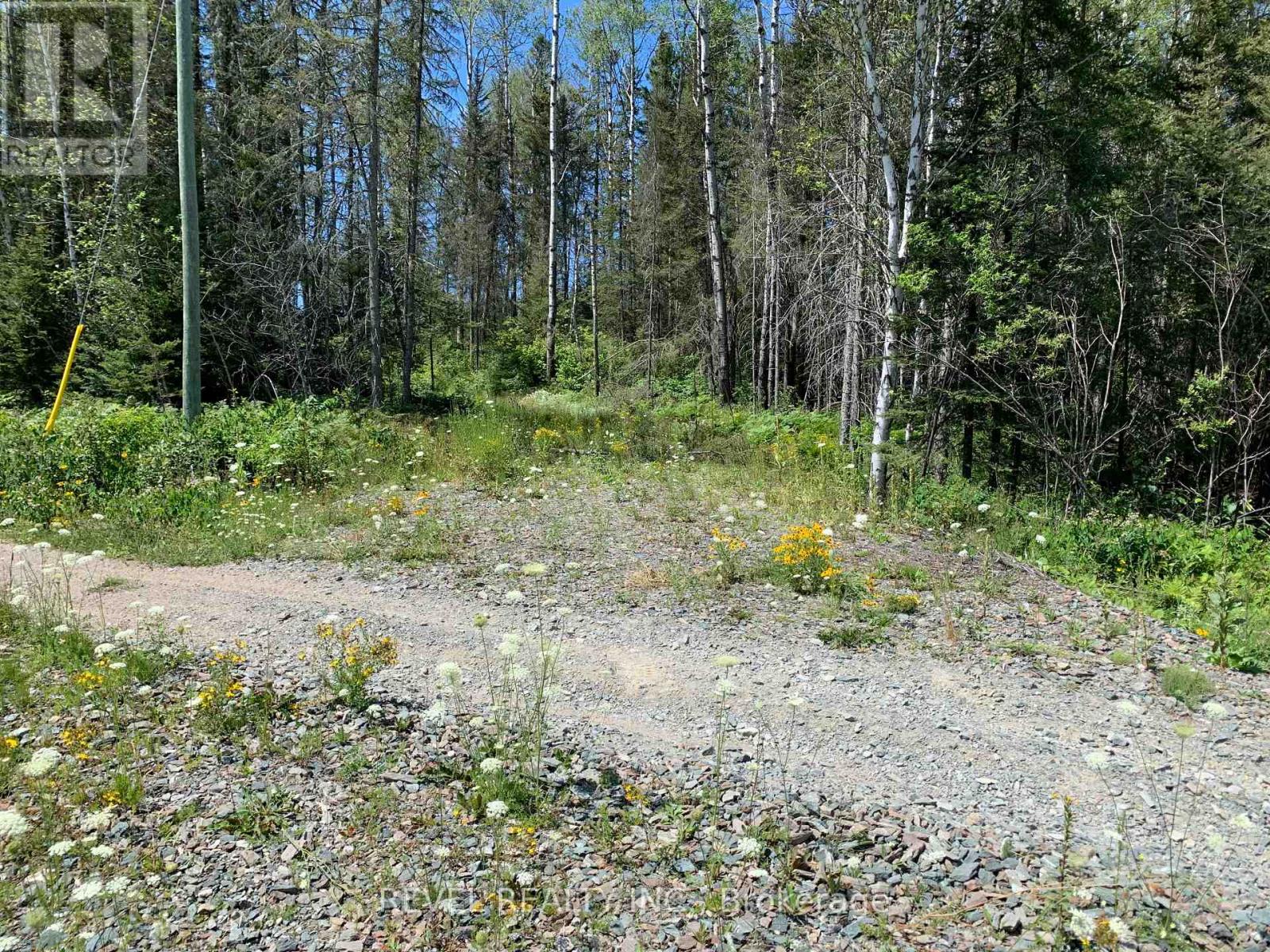 Pcl8547 Hwy 101 Highway W, Timmins, Ontario  P4N 7K2 - Photo 36 - W12075510