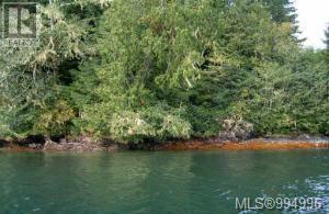447 Bamfield Inlet, Bamfield, British Columbia  V0R 1B0 - Photo 4 - 994996