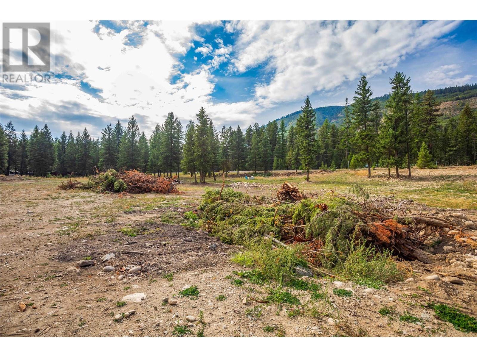 6386 Highway 33 Highway, Beaverdell, British Columbia  V0H 1A0 - Photo 12 - 10342973