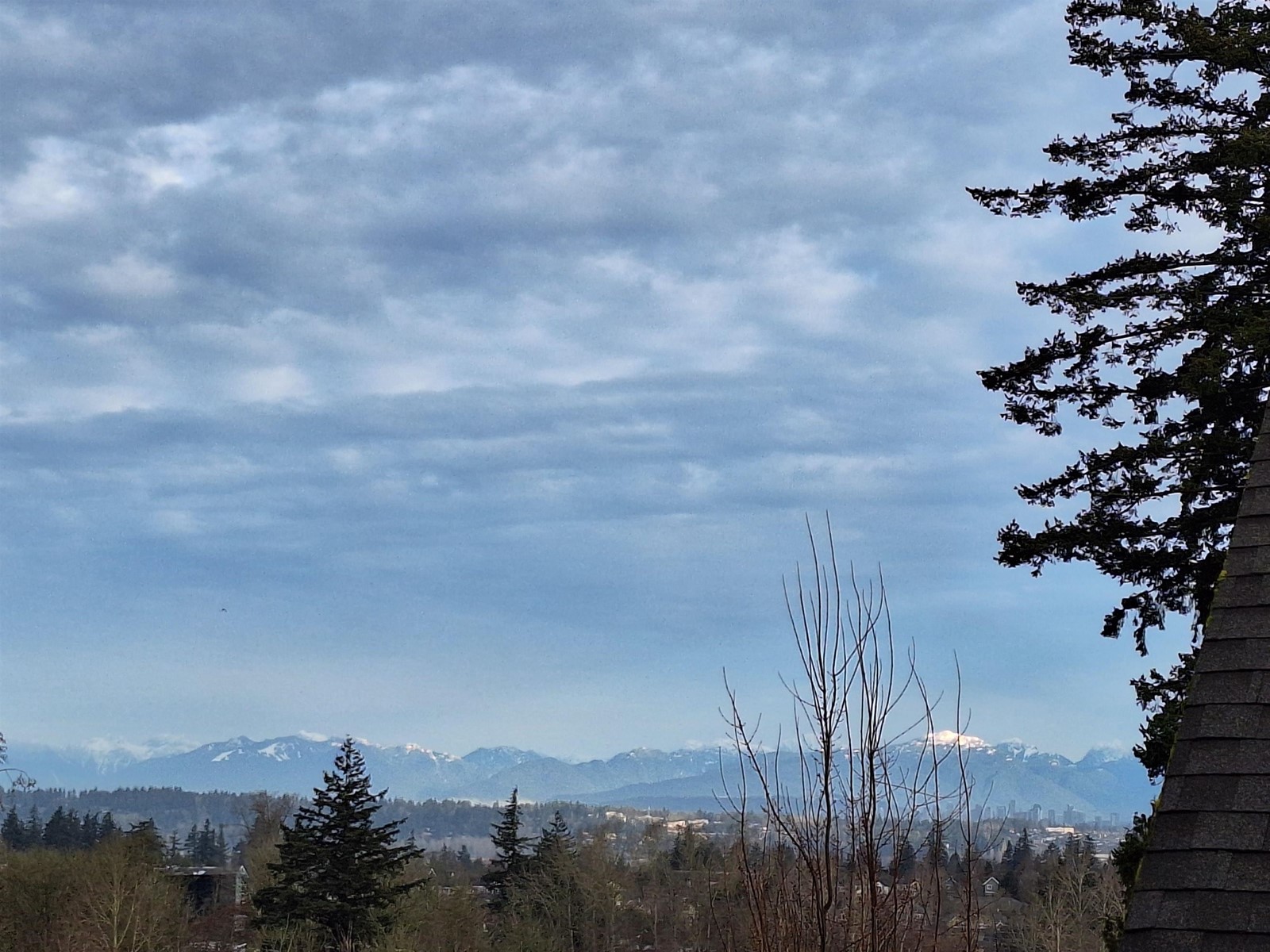 501 2855 156 Street, Surrey, British Columbia  V3Z 3Y3 - Photo 27 - R2976445