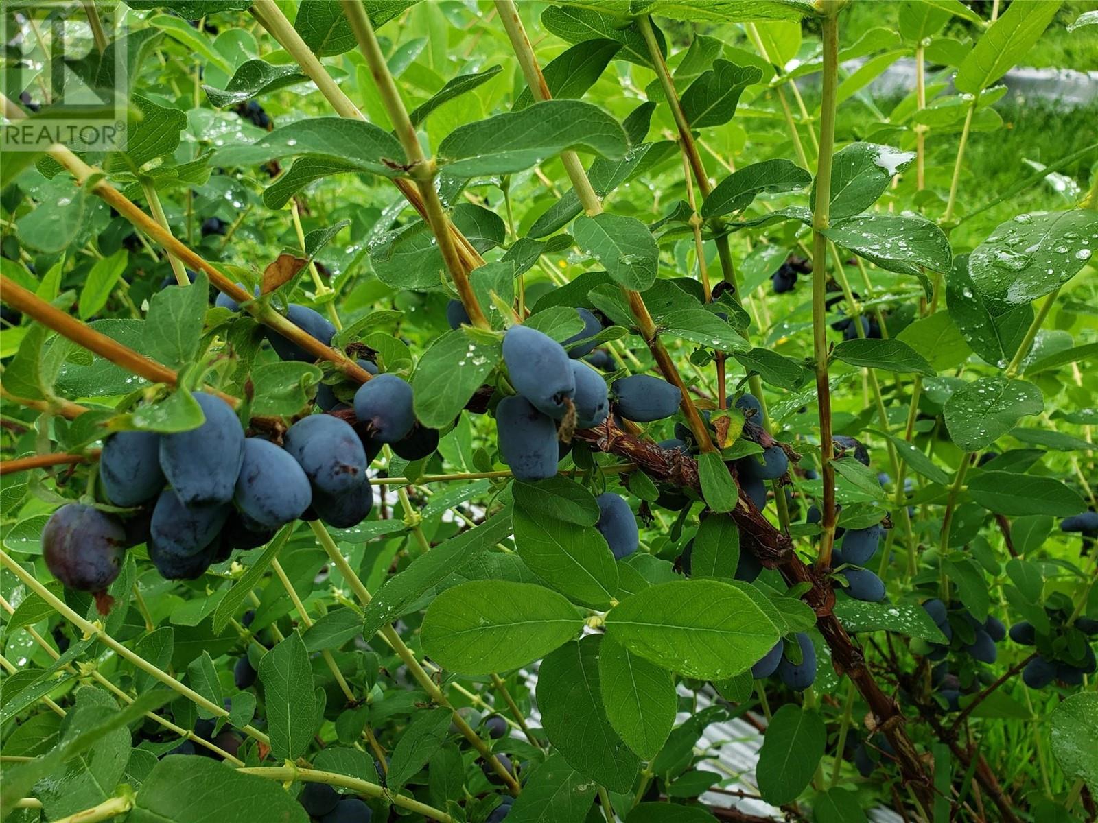 20412 Garnet Valley Road, Summerland, British Columbia  V0H 1Z3 - Photo 31 - 10342893