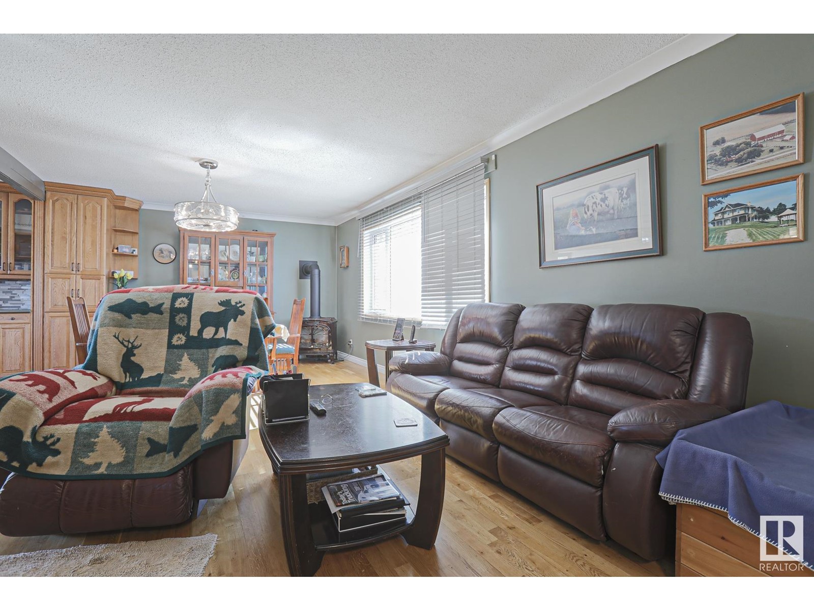 5018 50 St, Rural Thorhild County, Alberta  T0A 2R0 - Photo 8 - E4430192