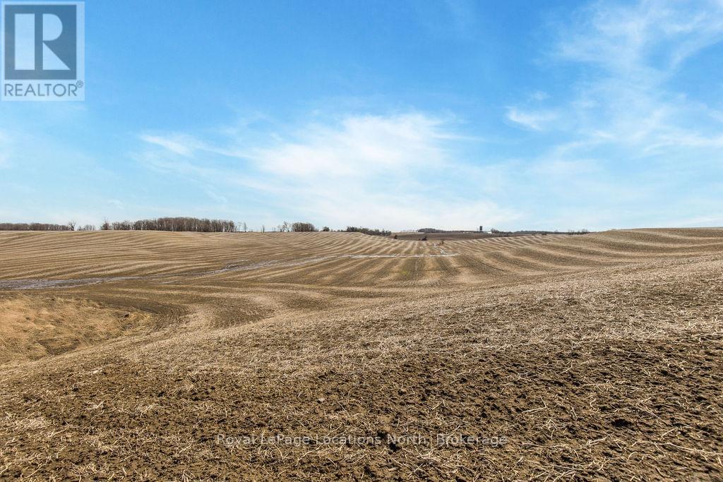 7087 4th Line, New Tecumseth, Ontario  L0G 1W0 - Photo 8 - N12076174
