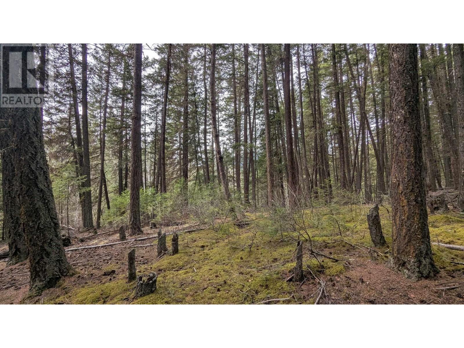 Lot 3 Summit Road, Canim Lake, British Columbia  V0K 1J0 - Photo 11 - R2989244