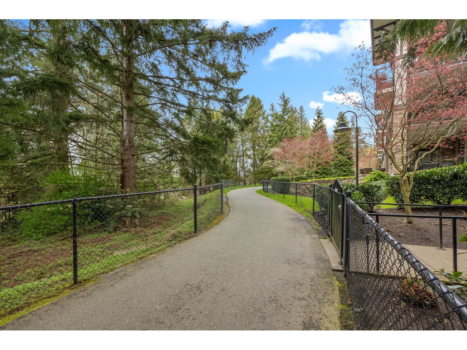 116 15185 36 Avenue, Surrey, British Columbia  V3Z 4R3 - Photo 33 - R2964769