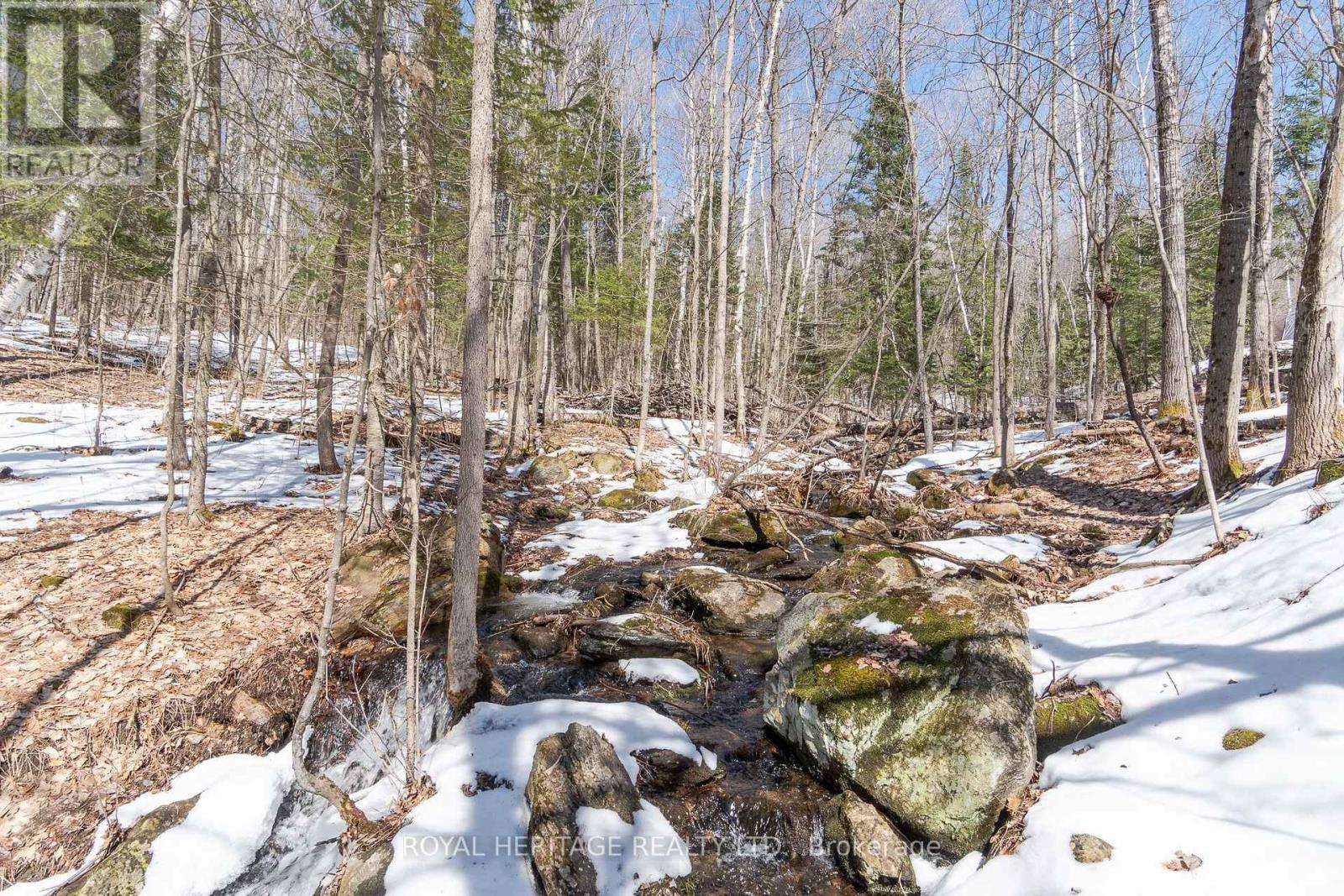 933 Ferguson Road, Armour, Ontario  P0A 1L0 - Photo 34 - X12076637